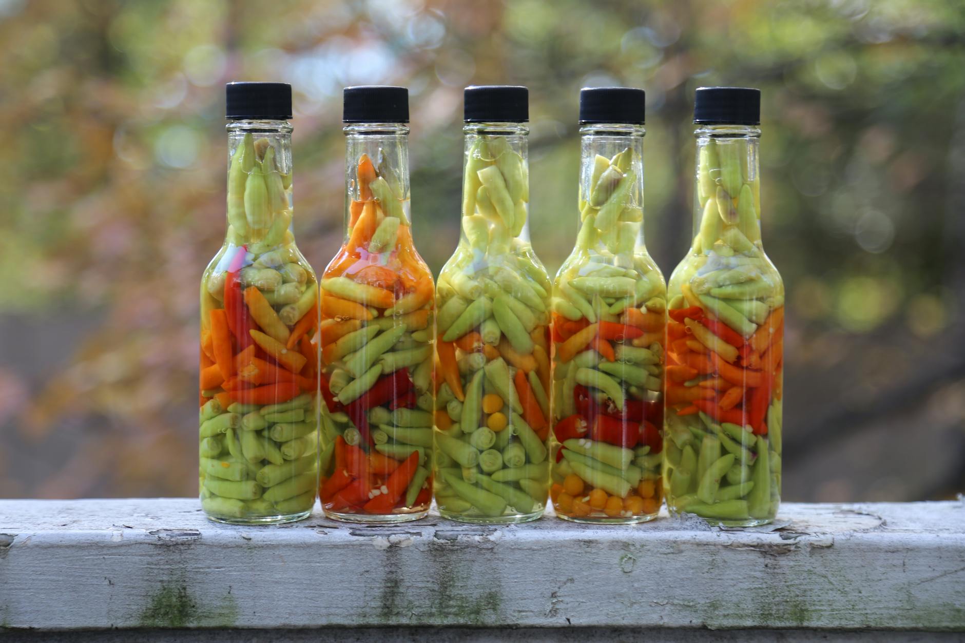 Domowy sos sriracha krok po kroku: naturalna fermentacja papryki w twojej kuchni Butelki z marynowaną ostrą papryką ustawione na słońcu na zewnątrz